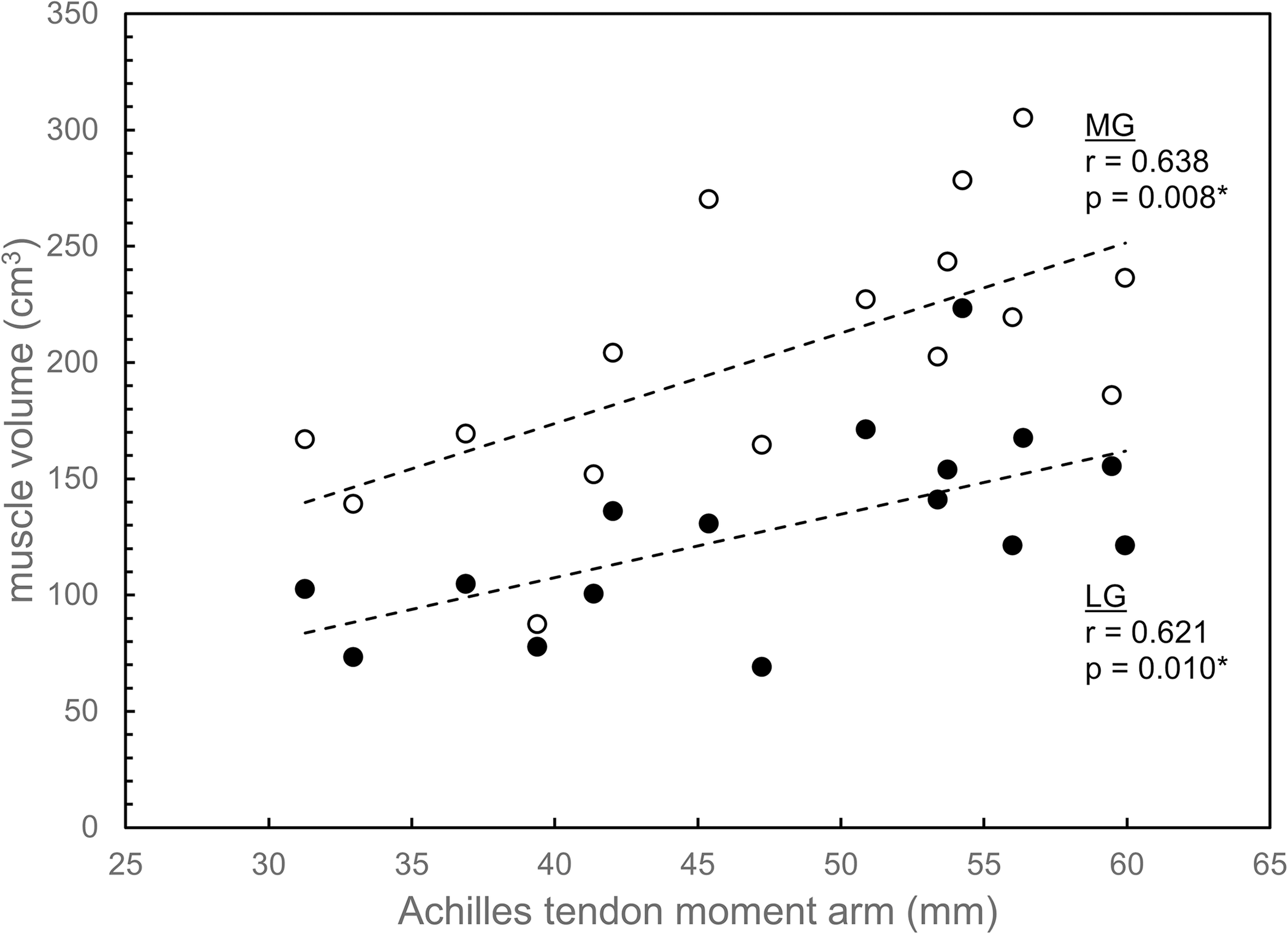 Lateral and medial gastrocnemius muscle volumes plotted against Achilles tendon moment arm.